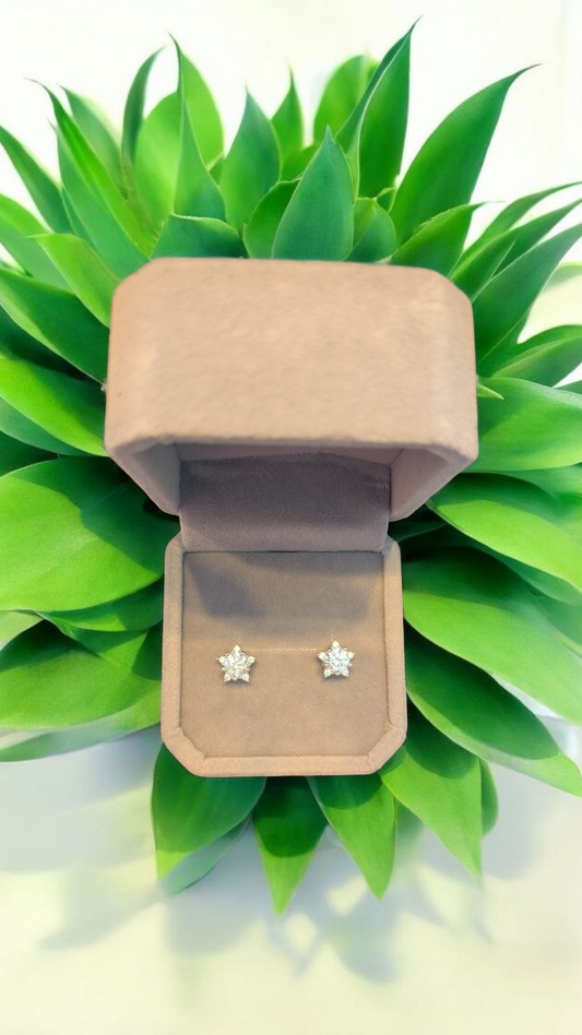GRA Certified Moissanite Star Earrings – S925 Sterling Silver